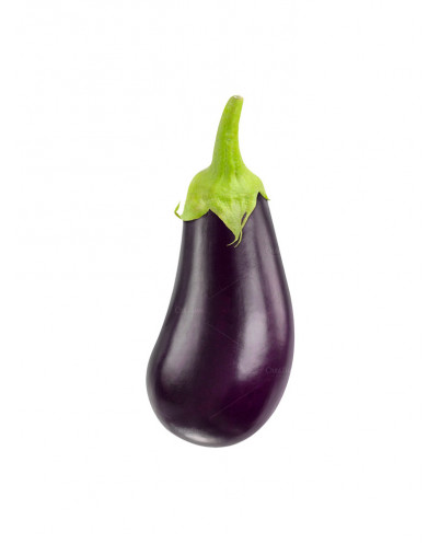 Brinjal