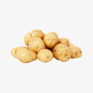 Potato