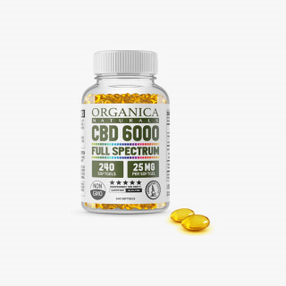 Energy Vitality