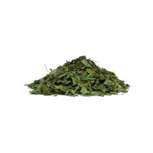 Oolong Tea