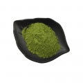 Holy Basil
