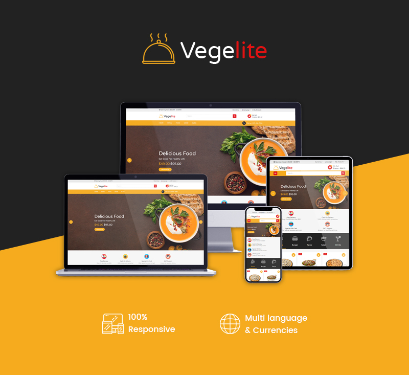 vegelite-features-1.jpg
